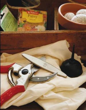 Tasks For The Winter Gardener